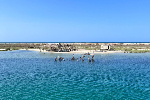 Djerba: Flamingo Island Boat Tour with Local Guide