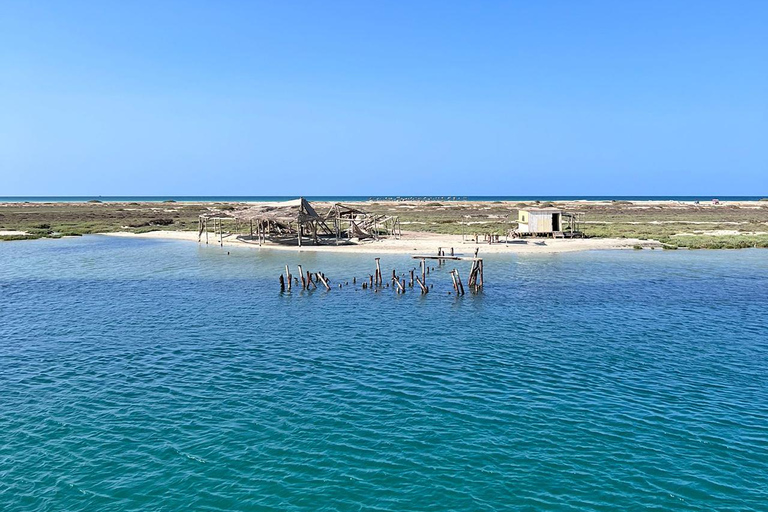 Djerba: Flamingo Island Boat Tour with Local Guide