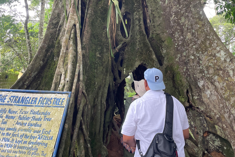 Gana: excursão de 8 dias em dezembro com Afrofuture/vida noturna