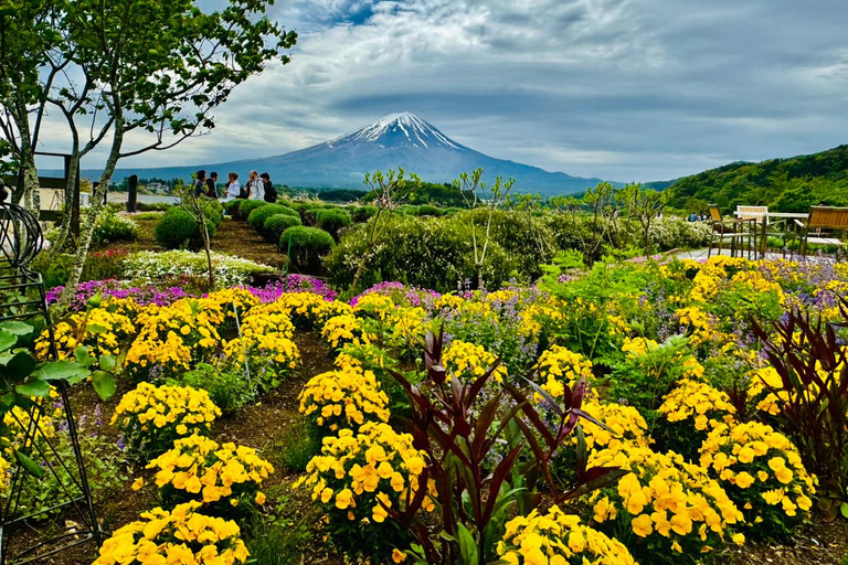 Mt. Fuji and Hakone Private Tour in Luxury Vehicle