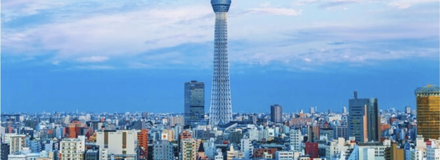 Tokyo : visite privée personnalisée d'une journée pour Instagram