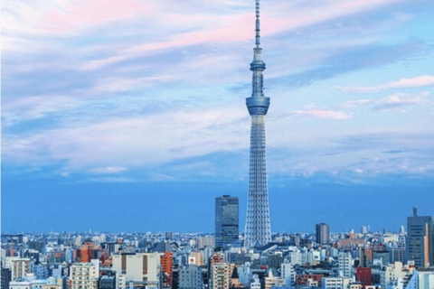 Tokyo: Private Tokyo City Must Seen Places By English Guide