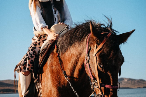 La Paz: Scenic Beach Horseback Ride
