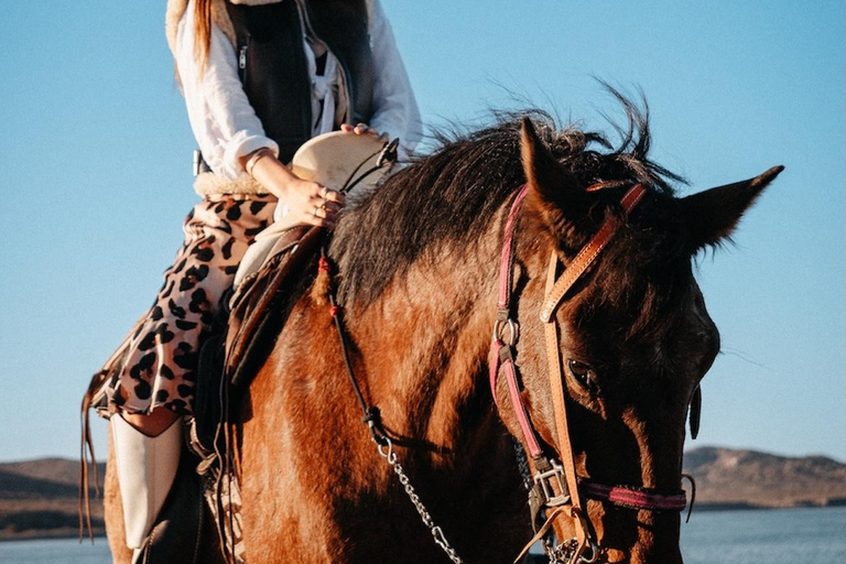La Paz: Scenic Beach Horseback Ride