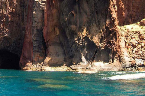 من فونشال: جولة إرشادية إلى جزر ديزرتاس