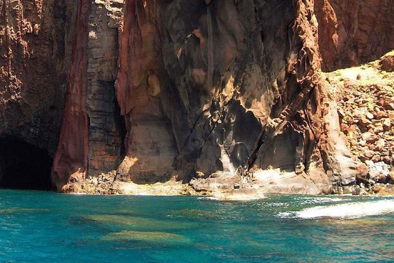 من فونشال: جولة إرشادية إلى جزر ديزرتاس