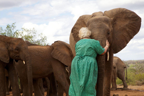 Depuis Nairobi : perles de Kazuri, centre pour bébés éléphants et girafes