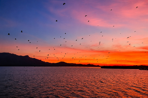From Labuan Bajo: Half-Day Boat Tour & Flying Fox Sunset