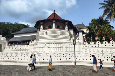 Negombo: 3-Day Sigiriya, Kandy, & Nuwara Eliya Tour