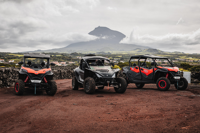 Pico Island: Buggy Tour of Pico Island and Faial Island Faial: Full Adventure