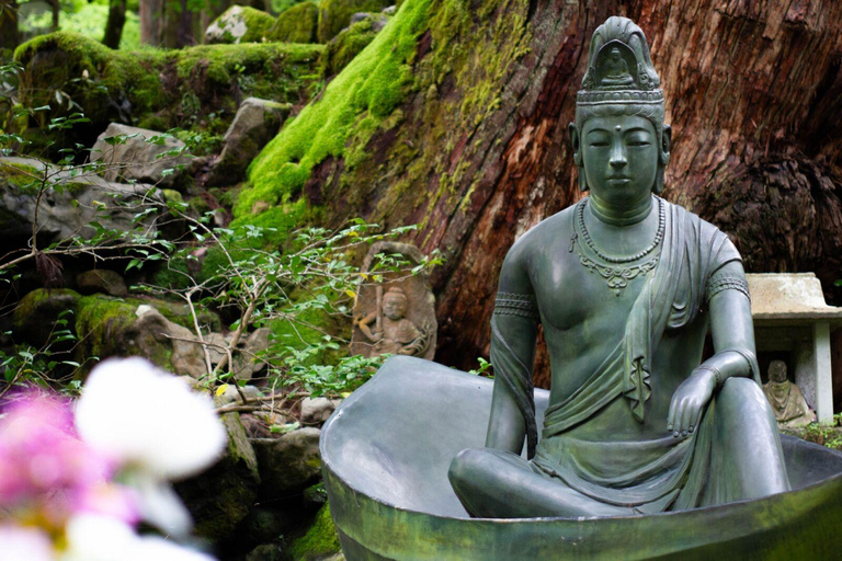 From Kanazawa: Eiheiji, Dinosaur Museum & Great Buddha