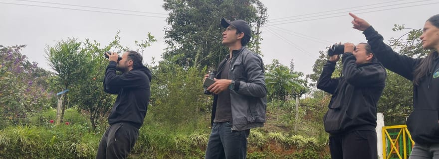 Circuit actif d'observation des oiseaux