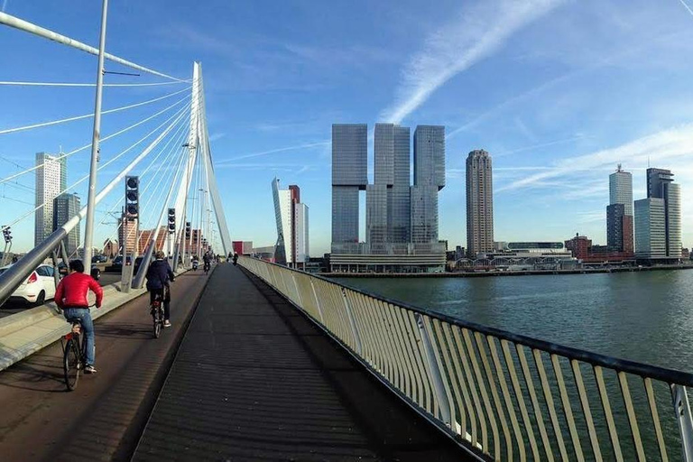 Your Own Holland. Rotterdam: Travel to the Future Private Walking Tour in Rotterdam with Intern