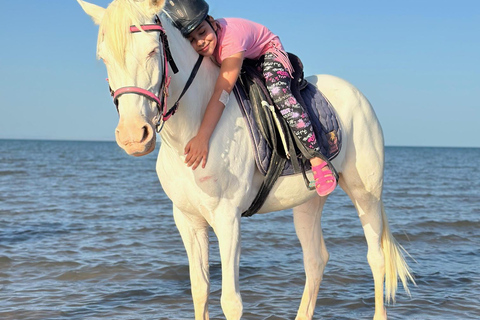 Hurghada: Abenteuerausflug mit Pferden durch die Wüste und zum StrandPrivater Ausritt in Hurghada: Wüste &amp; Strand