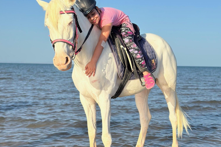 Hurghada: Abenteuerausflug mit Pferden durch die Wüste und zum StrandPrivater Ausritt in Hurghada: Wüste &amp; Strand