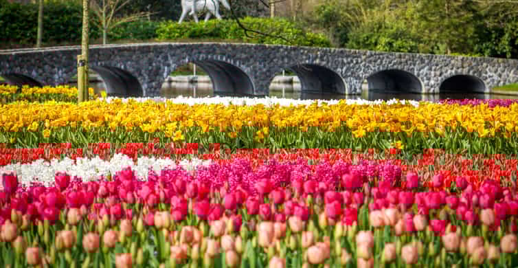 Amsterdam: Keukenhof Entry & Shuttlebus with Flexible Return photo 18