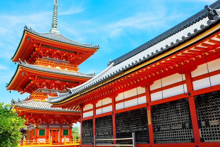 kyoto One Day Tour: Kinkaku-ji, Kiyomizu-dera&Fushimi Inari Osaka Nipponbashi Meeting Point at 8:40 AM