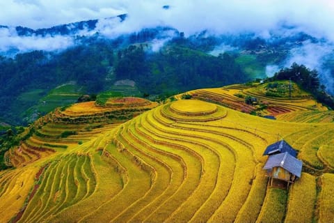 From Hanoi: Mu Cang Chai Rice Terraces 2-Day Tour - Image 2