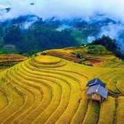 From Hanoi: Mu Cang Chai Rice Terraces 2-Day Tour