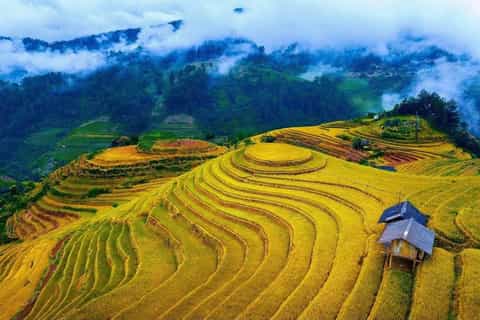 From Hanoi: Mu Cang Chai Rice Terraces 2-Day Tour - Image 3