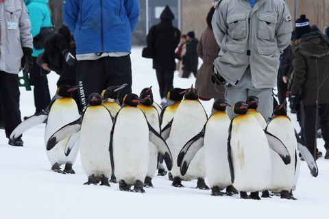 Hokkaido : Zoo d&#039;Asahiyama, chute de Shirahige, journée à la terrasse de Ningle