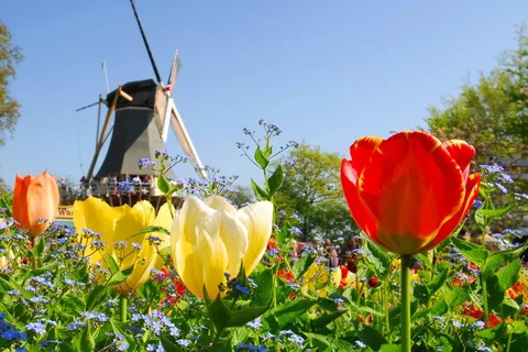 Antwerp: Full-day Holland Guided Keukenhof & Kinderdijk Tour