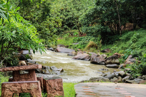 Khao Lak: Forsränning, zip-line, lunchbuffé, ATV-alternativ resa