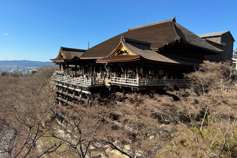 Kyoto: Vollständig anpassbare Halbtagestour durch die alte HauptstadtKyoto: Vollständig anpassbare Halbtagestour in der alten Hauptstadt