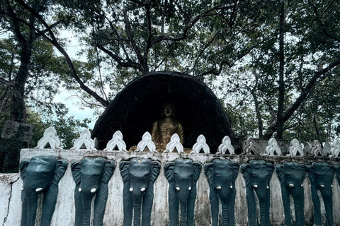From Colombo: Gampaha District Temples & Jungle Hike Tour