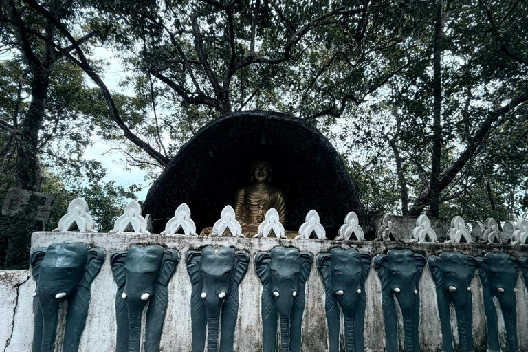 From Colombo: Gampaha District Temples & Jungle Hike Tour