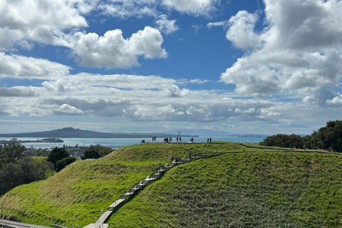 Tour di mezza giornata dei luoghi più interessanti della città di Auckland (tour per piccoli gruppi)