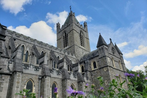 都柏林：历史地标徒步游都柏林：英语导游步行游