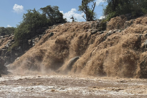 Addis Abeba: Awash-Nationalpark &amp; Harar 4-tägige Tour