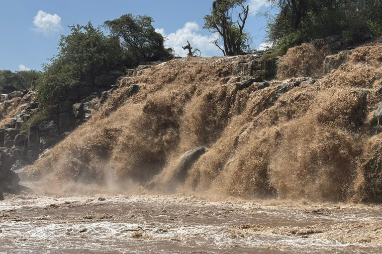 Addis Abeba: Awash-Nationalpark &amp; Harar 4-tägige Tour