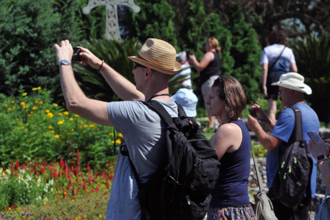 Mar Nero: Tour della spiaggia magnetica e del giardino botanico di Batumi