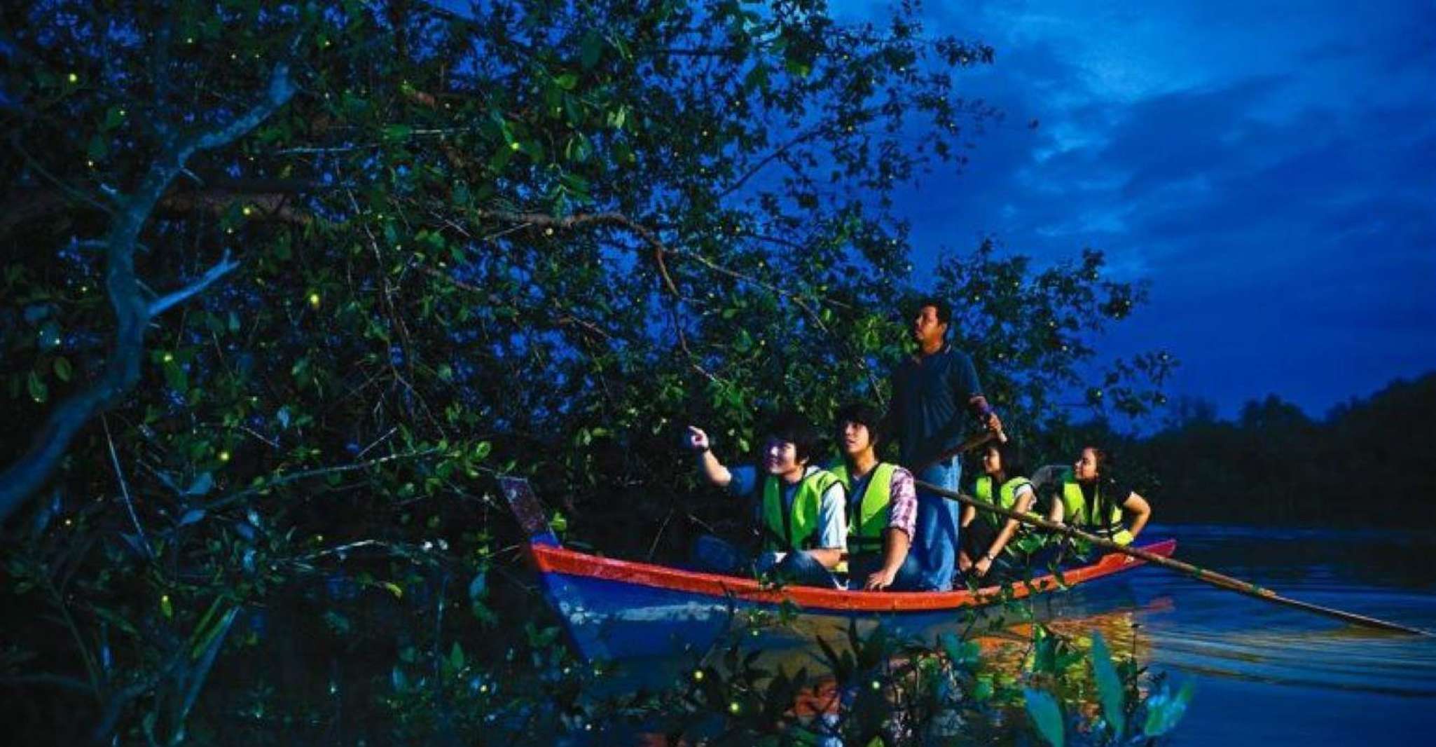 Kuala Lumpur: City Sights, Batu Caves and Fireflies Day Trip