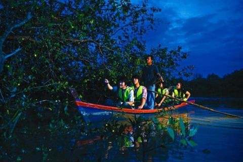 KL City, Batu Caves & Fireflies Combo Trip (3 in 1 Combo)