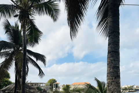 Praia: Cruise Beach Day to Tarrafal & Ribeira da Prata