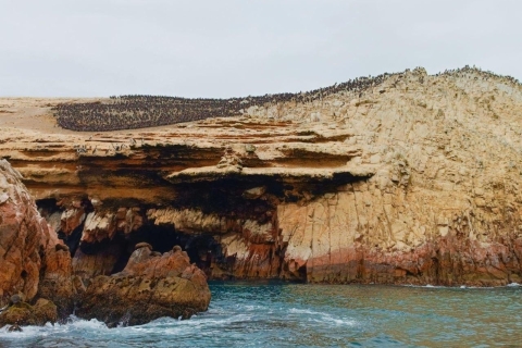 Reserva Nacional de Paracas y Playas