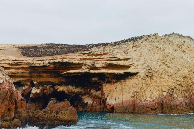 Paracas: Isole Ballestas e Riserva Nazionale di ParacasRiserva Nazionale Paracas e Spiagge