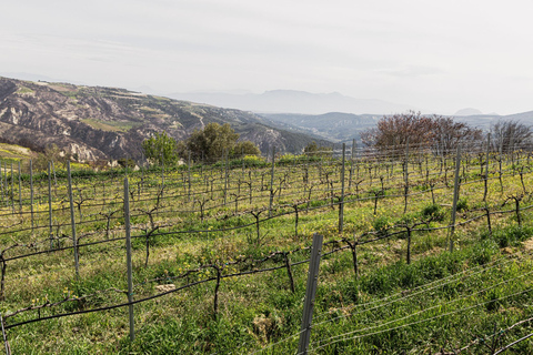 Blend Your Own Wine in Nemea, Become a Winemaker for a Day