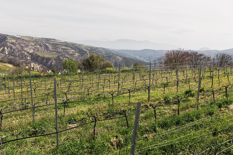 Blend Your Own Wine in Nemea, Become a Winemaker for a Day