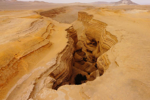 From Ica: Los Perdidos Canyon Excursion |Full Day|