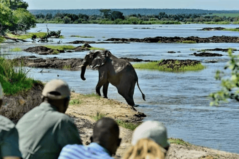 Chobe : Sunset Cruise