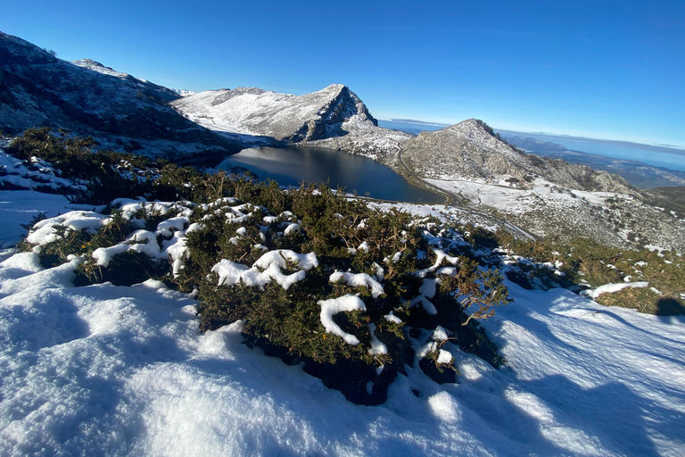 Covadonga i jeziora oraz wybrzeże Occidental Private Tour