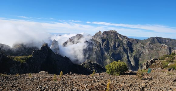 Madeira: Private Tour with Customizable Itinerary for 4