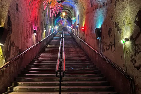 Discovery Tour Reims and Epernay