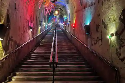 Visita à descoberta de Reims e Epernay