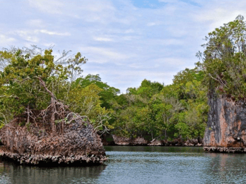 Samana: Los Haitises National Park & Caño Hondo Day Tour