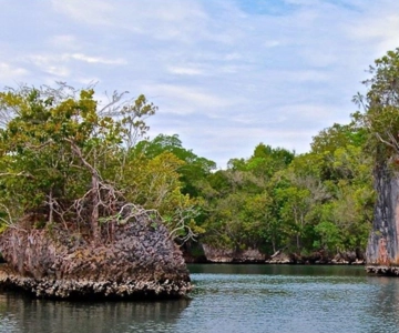 Samaná: Excursión de un día al Parque Nacional de Los Haitises y Caño Hondo